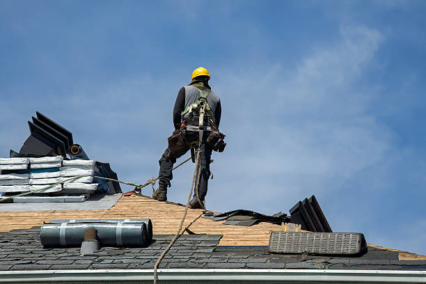 Professional Roof Replacement technician working in Binford, ND